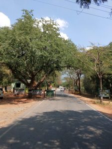 Kotagiri Road