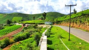 Hill_Station_Tamil_Nadu Best time to visit Tamil Nadu