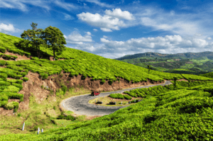 Mountains - Best reason to visit Kerala